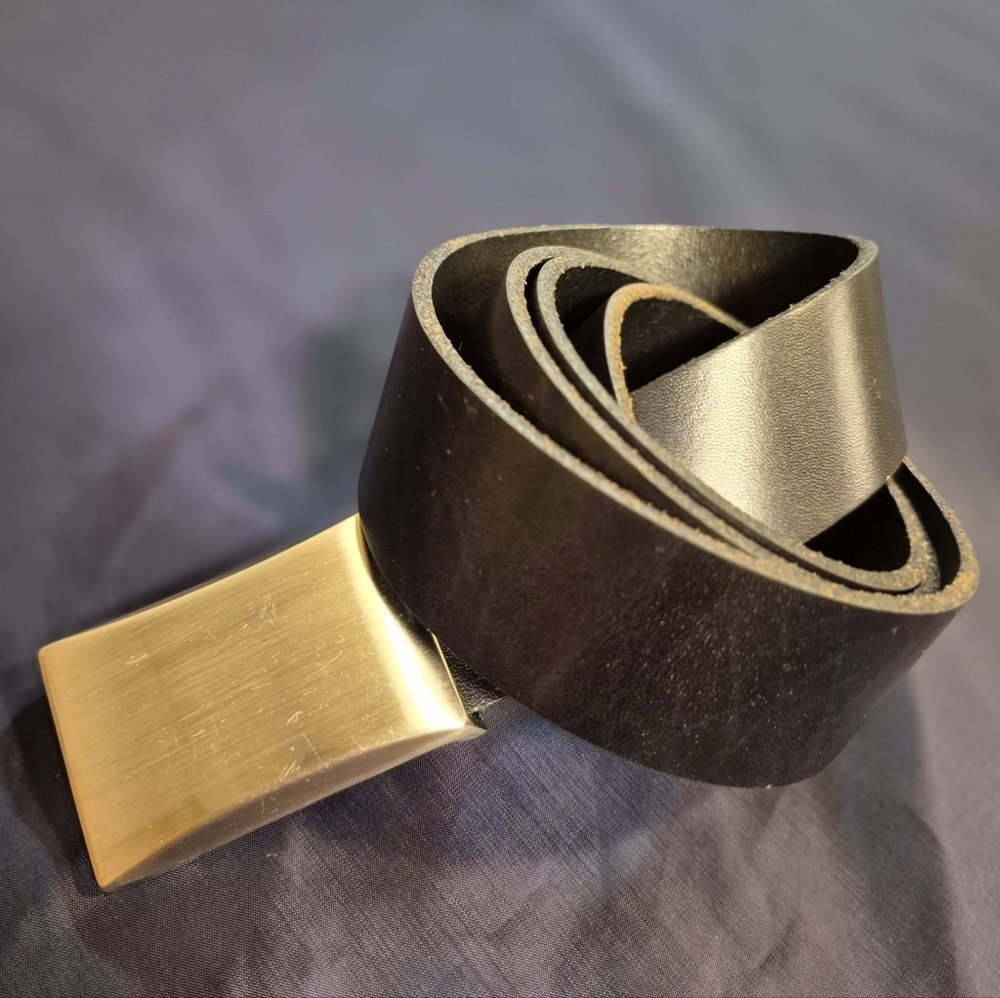 Danier Men's Leather Belt With Solid Brass Buckle
